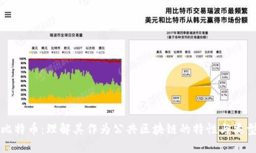 比特币:理解其作为公共区块链的特性与类型