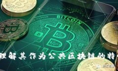 比特币：理解其作为公共区块链的特性与类型
