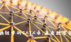 深入解析区块链中的SATX币：未来数字货币的新机