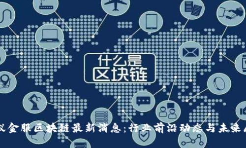 蚂蚁金服区块链最新消息：行业前沿动态与未来展望