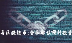 山寨币与区块链币：全面解读哪种投资更值得