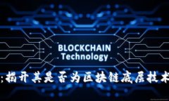 泰西币：揭开其是否为区块链底层技术的真相