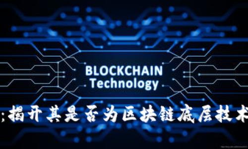 泰西币:揭开其是否为区块链底层技术的真相
