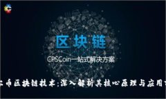 霍尔币区块链技术：深入解析其核心原理与应用