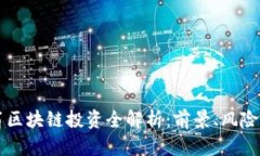 币码翁区块链投资全解析：前景、风险与机会