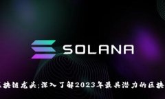 最新区块链龙头：深入了解2023年最具潜力的区块