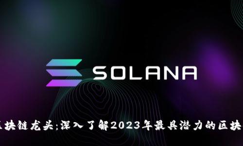 最新区块链龙头：深入了解2023年最具潜力的区块链项目