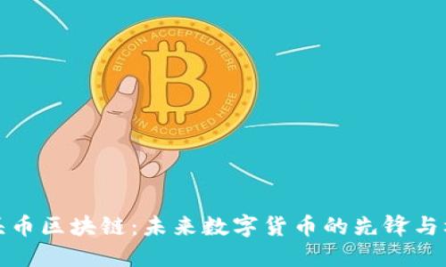 龙头币区块链:未来数字货币的先锋与机遇