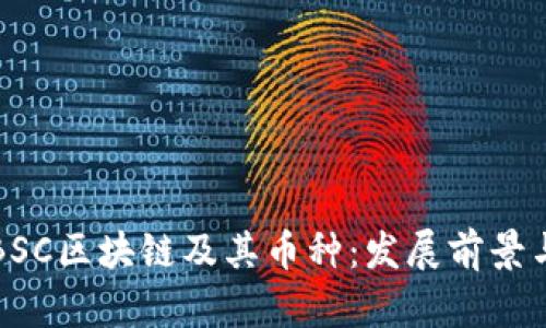 深入探讨BSC区块链及其币种:发展前景与投资策略