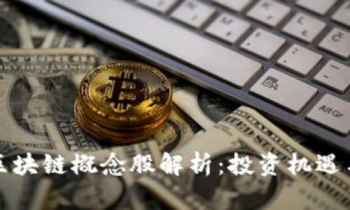 比特币与区块链概念股解析:投资机遇与风险评估