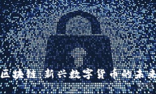 大圣币区块链:新兴数字货币的未来与挑战