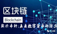 区块链新兴币种：未来数字货币的潜力与挑战