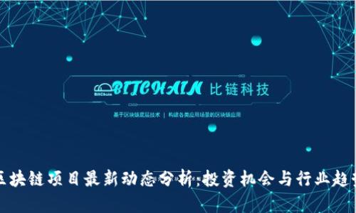 区块链项目最新动态分析:投资机会与行业趋势