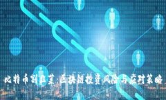 比特币割韭菜：区块链投资风险与应对策略