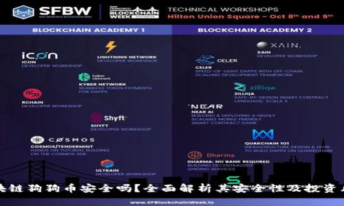 区块链狗狗币安全吗?全面解析其安全性及投资风险