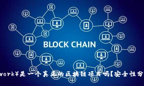 派币(Pi Network)是一个真正的区块链项目吗?安全性分析与用户指南