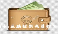 what is pi币：区块链新成员探索与前景分析