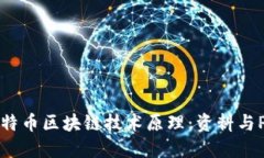 深入探讨比特币区块链技术原理：资料与PPT设计