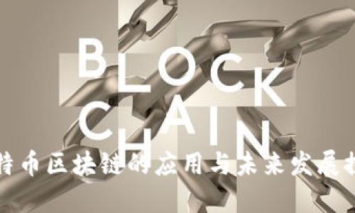 比特币区块链的应用与未来发展探讨