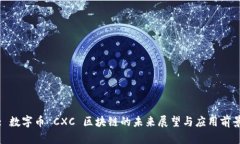 : 数字币 CXC 区块链的未来展望与应用前景