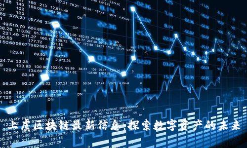 上虞区块链最新信息:探索数字资产的未来