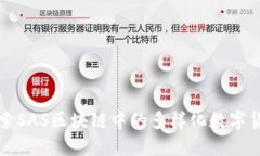 探索SAS区块链中的多样化数字货币