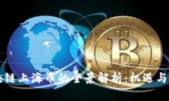 区块链上海币的全景解析：机遇与挑战