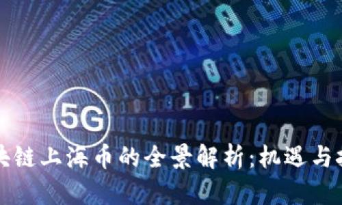 区块链上海币的全景解析:机遇与挑战