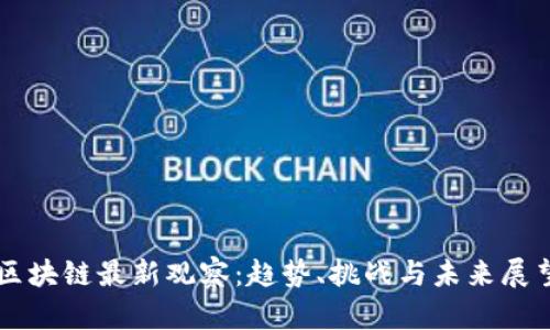 区块链最新观察:趋势、挑战与未来展望