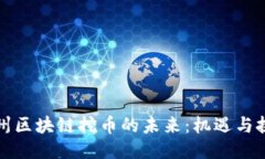 杭州区块链挖币的未来：机遇与挑战