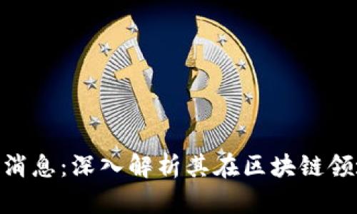 : 区块链林阿武最新消息:深入解析其在区块链领域的最新动态和影响