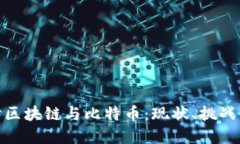 : 深入探讨区块链与比特币：现状、挑战与未来发