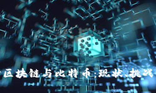 : 深入探讨区块链与比特币:现状、挑战与未来发展