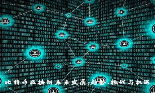 比特币区块链未来发展:趋势、挑战与机遇