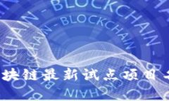 2023年区块链最新试点项目名单及解析