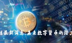 Pi区块链最新消息：未来数字货币的潜力与挑战