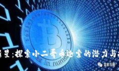区块链新星：探索小二哥币迦索的潜力与投资机