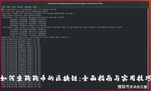 如何查狗狗币的区块链:全面指南与实用技巧