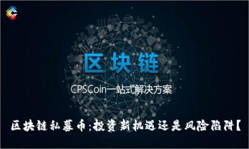 区块链私募币:投资新机遇还是风险陷阱?