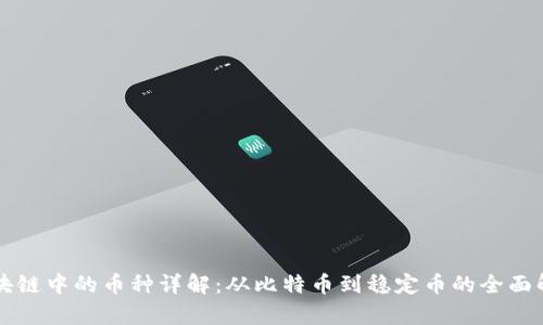 区块链中的币种详解:从比特币到稳定币的全面解析