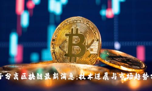 原子分离区块链最新消息:技术进展与市场趋势分析