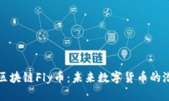 全面解析区块链Fly币：未来数字货币的潜力与挑