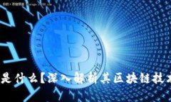 :雷达币究竟是什么？深入解析其区块链技术及应