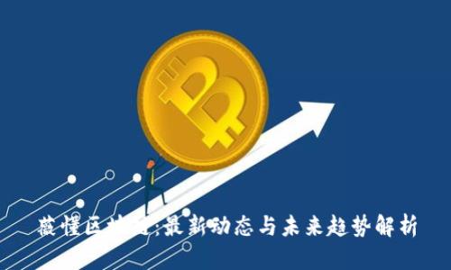 薇懂区块链：最新动态与未来趋势解析