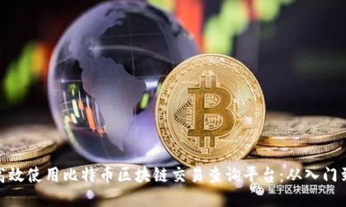 如何高效使用比特币区块链交易查询平台：从入门到精通
