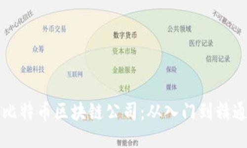 如何成功进入比特币区块链公司：从入门到精通的全方位指南