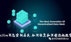  bhfuilim钱包密钥丢失，如何恢复和保护你的数字