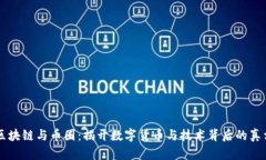 区块链与币圈：揭开数字货币与技术背后的真相