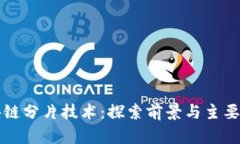 区块链分片技术：探索前景与主要币种