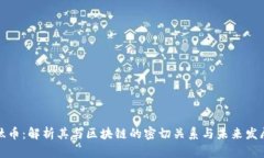 肽币：解析其与区块链的密切关系与未来发展